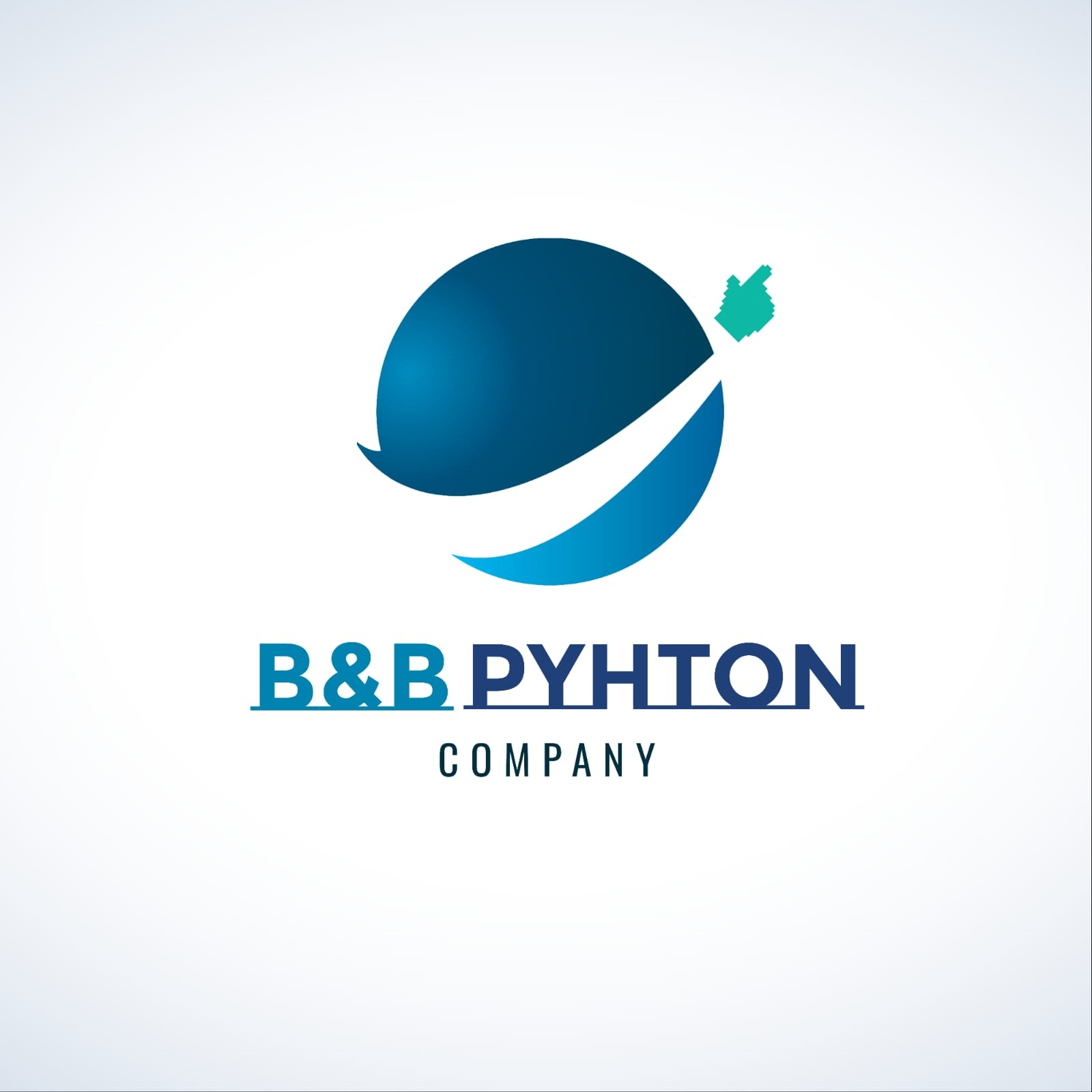 BnBpythoninc-logo